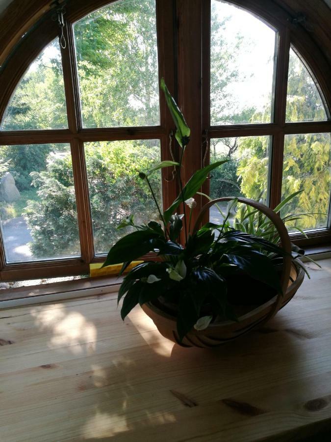 Bella Bed And Breakfast Stevns Arnoje Экстерьер фото