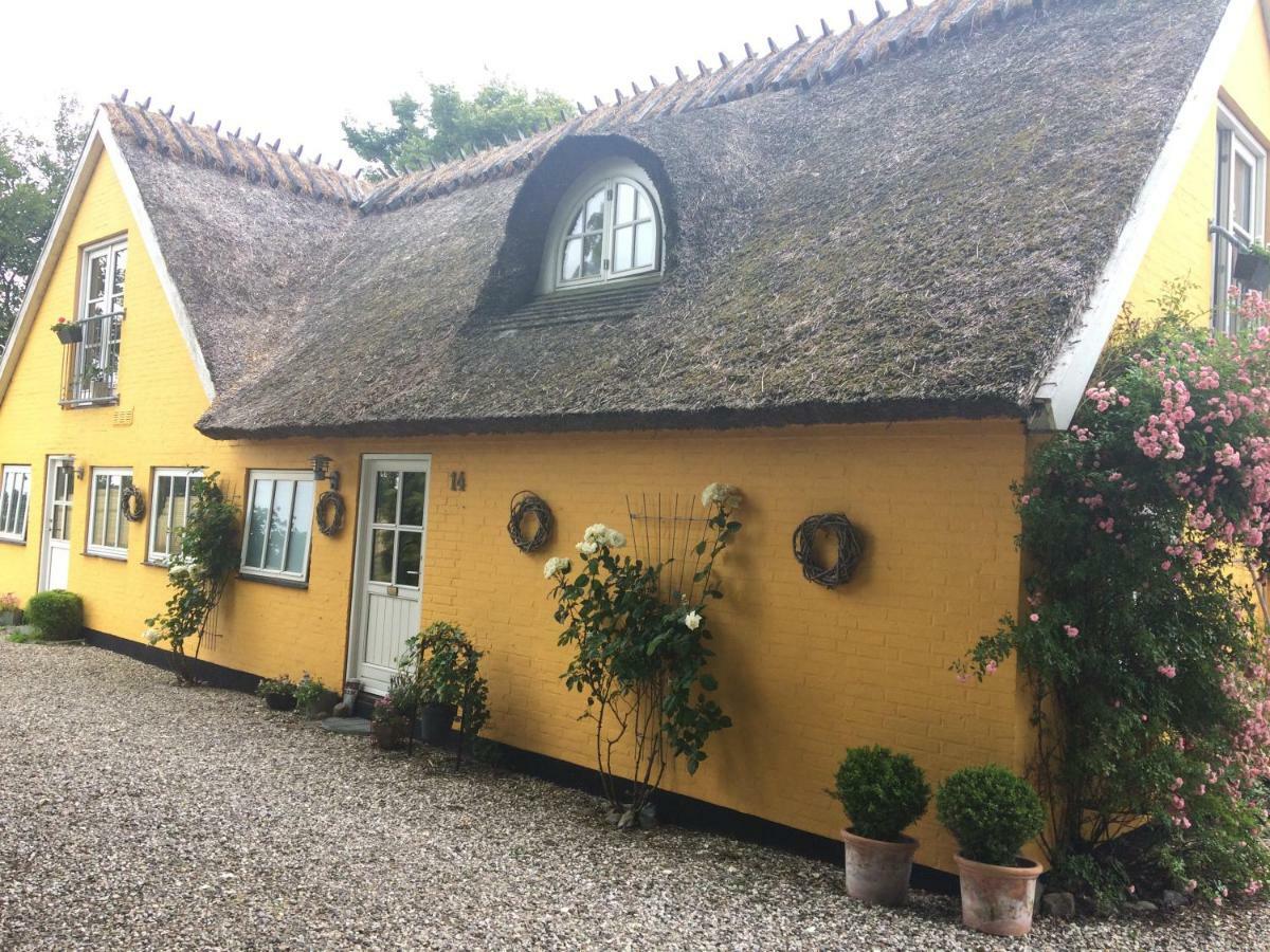 Bella Bed And Breakfast Stevns Arnoje Экстерьер фото